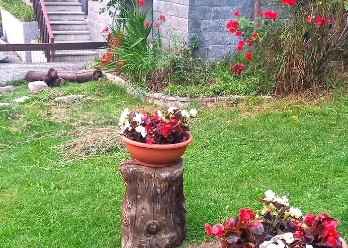 Apartment Aura Del Bosco Roisan