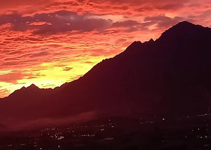 Aura Del Bosco * Roisan